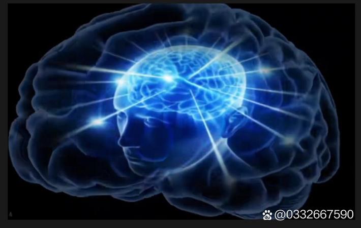 吃瓜大赛 - 科技圈年度大瓜:两大AI公司创始人公开互怼,言语激烈 吃瓜大赛相关推荐:科技圈年度大瓜:两大AI公司创始人公开互怼,言语激烈